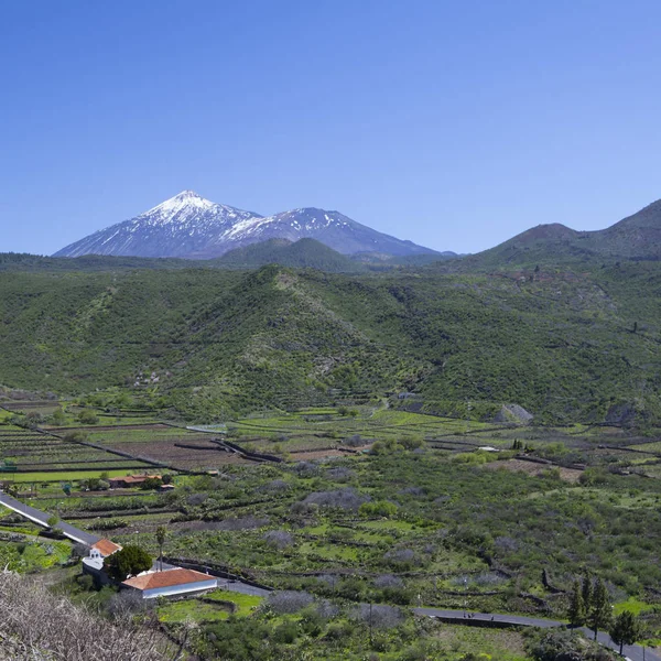 Pico Del Teide Tenerife 加那利群岛 西班牙 — 图库照片