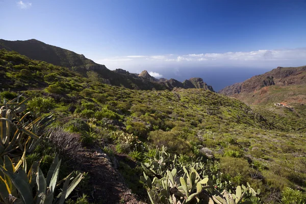 Görünüm Dağları Tenerife Kanarya Adaları Spanya Ile Masca Köyü — Stok fotoğraf