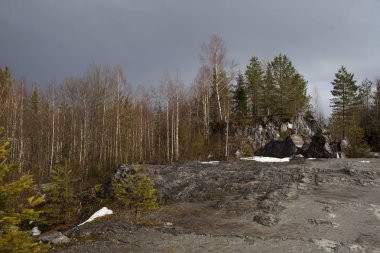 Bahar Karelya orman, Rusya Federasyonu 