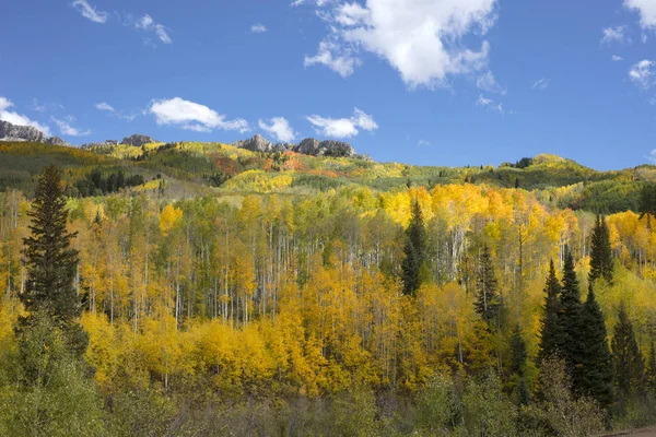 Otoño Colores Otoño Kebler Pass Colorado Estados Unidos América Otoño —  Fotos de Stock