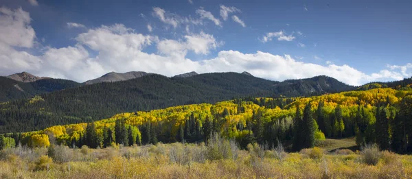 Farbenfrohes Herbstlaub Kebler Pass Der Nähe Von Haubenkolorado Amerikanisch — Stockfoto