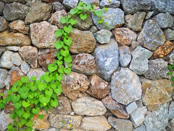 Muro di pietra con erba — Foto Stock