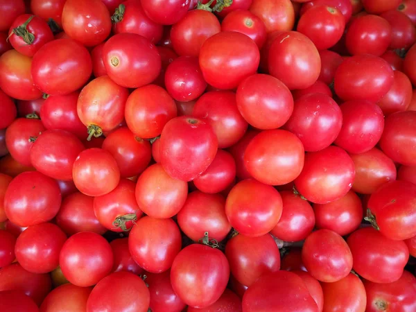 Tomate — Photo