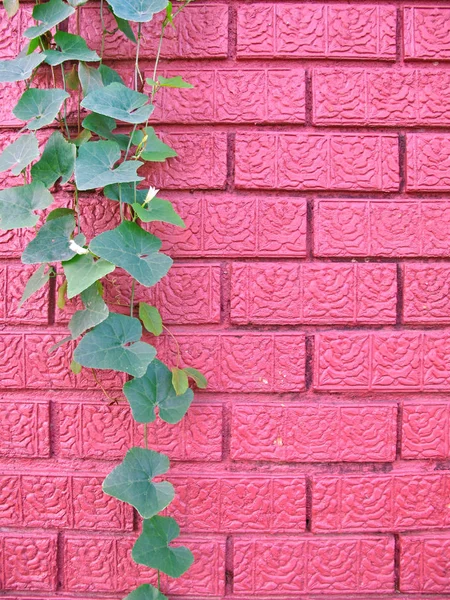 Pared del templo —  Fotos de Stock