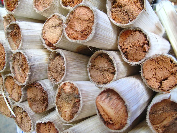 Arroz en cilindro de bambú — Foto de Stock