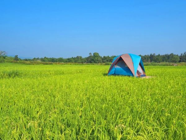 La tienda está en medio del campo. . — Foto de Stock