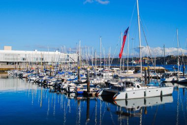 Rıhtımlara bağlı birçok güzel beyaz yat körfezde duruyor.