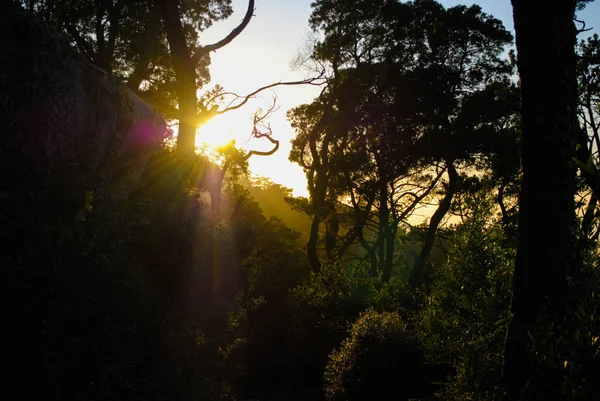 Piękny Żywy Zachód Słońca Górach Portugalskiej Sintra — Zdjęcie stockowe