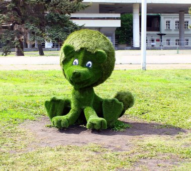 Aslan parkta yeşil, güneşli bir gün bahar