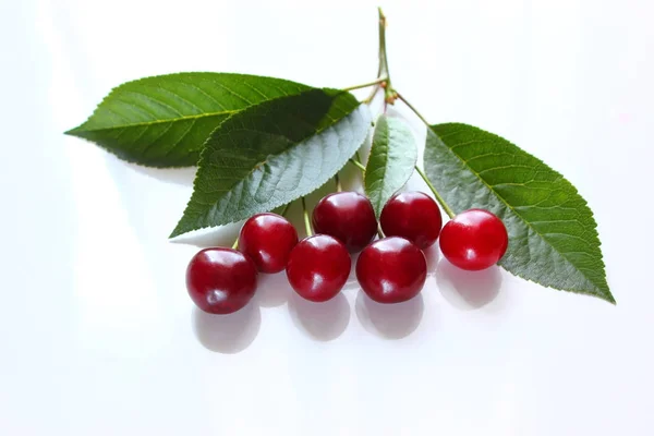 Słodki Świeżych Wiśni Tle Zielonych Liści Zbliżenie Biały Stół Rustykalny — Zdjęcie stockowe