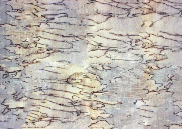 Abstrato Tabela Madeira Textura Fundo Velha Árvore Podre Vista Cima — Fotografia de Stock