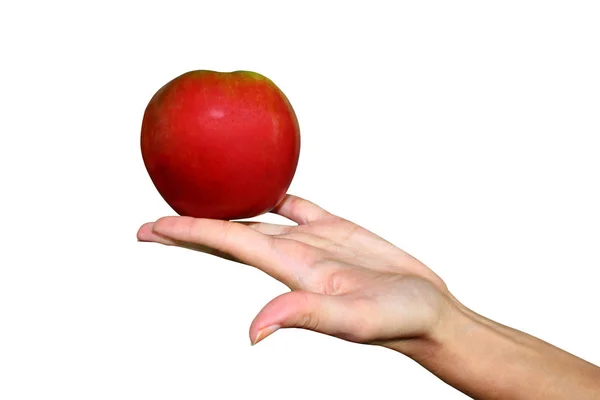 Jablko Ženské Ruce Izolované Bílém Pozadí Čerstvé Šťavnaté Lahodné Červené — Stock fotografie