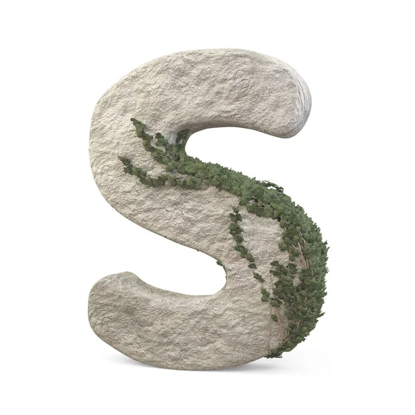Realistische Steinbuchstaben Mit Efeu Isoliert Auf Weißem Hintergrund Bild — Stockfoto