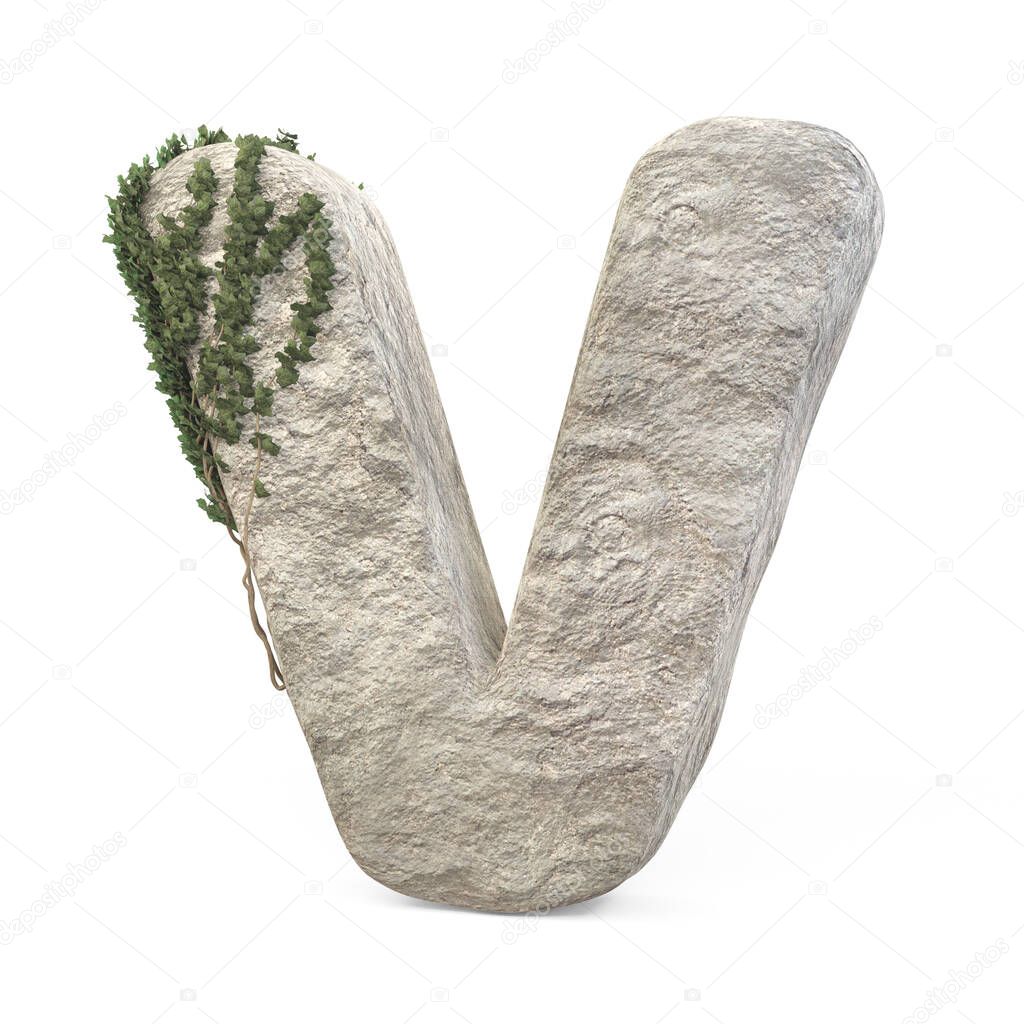 Realistic stone letters with ivy, isolated on a white background. 3d image