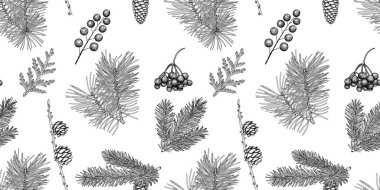 Vektör kusursuz desen. El yapımı siyah beyaz bitkiler. Çam kozalakları, ladin, karaçam, kızılcık, ardıç meyvesi. Eski bir Noel geçmişi. Eps 10