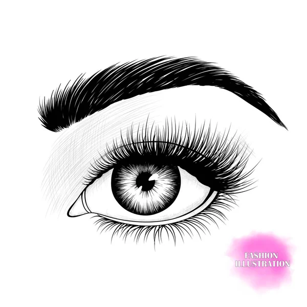 Black White Hand Drawn Realistic Image Eye Eyebrow Long Eyelashes — ストックベクタ