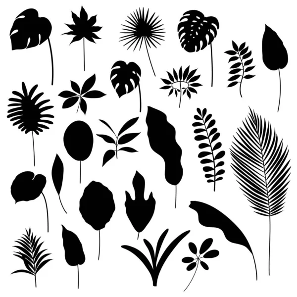 Vektorset Aus Schwarzen Handgezeichneten Tropischen Blättern Eps — Stockvektor