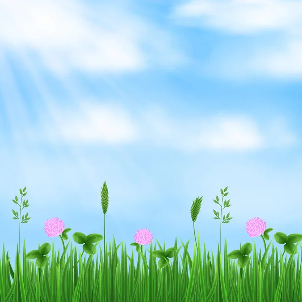 Spring Summer Background Blue Sky Sun Rays Fresh Green Grass — Stock Vector