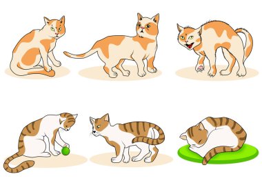 Karikatür kedi vektör set