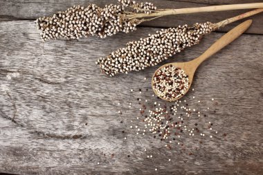 Quinoa kaşık üzerinde