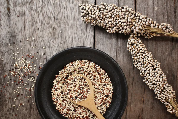 Quinoa σε κουτάλι — Φωτογραφία Αρχείου