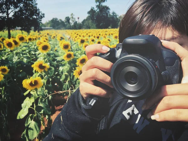 Woman using a camera to take photo with sunflowers field — Stock Photo, Image