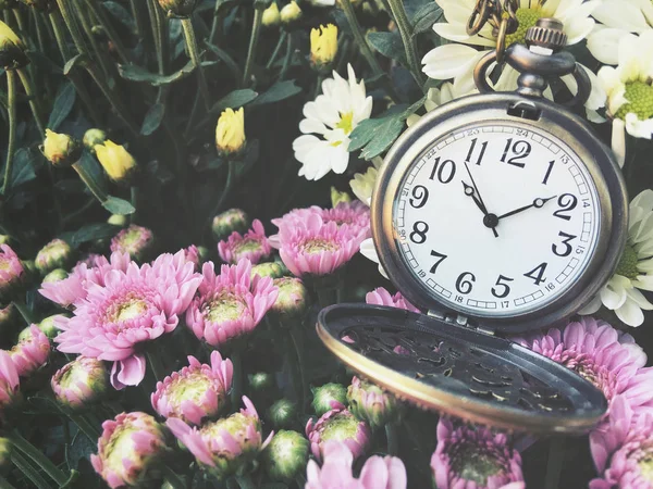 花を持つヴィンテージ時計ポケット — ストック写真