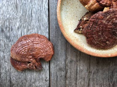 Ganoderma Lucidium - ling zhi mantar.