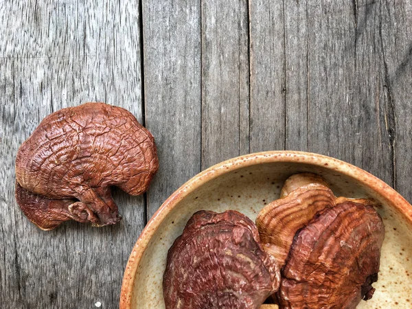 Ganoderma Lucidum - Seta Ling Zhi . —  Fotos de Stock