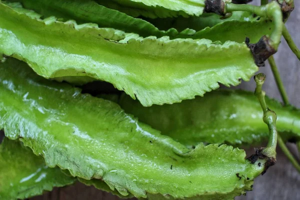 Close up of winged bean — Stock Photo, Image