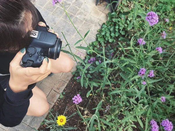 Femme utilisant un appareil photo pour prendre des fleurs photo — Photo