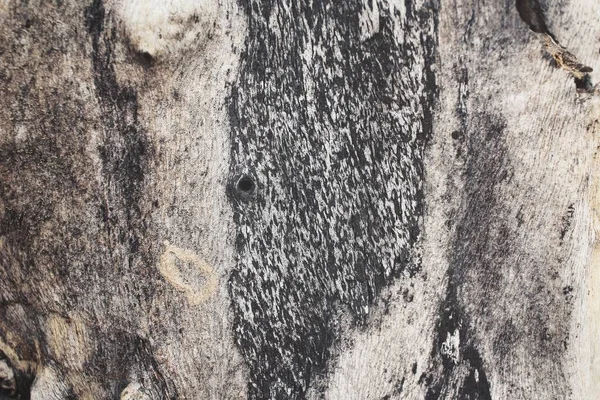 Primer plano de la quinua sobre fondo de madera —  Fotos de Stock