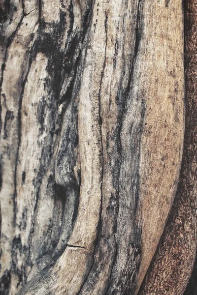 Primo piano della quinoa su fondo legno — Foto Stock