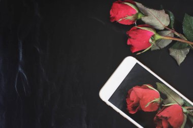 Kırmızı gül akıllı telefon ile bir fotoğraf çekici