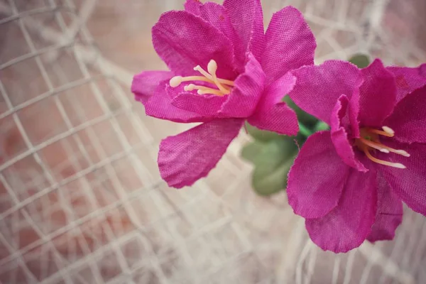 Красиві штучні квіти — стокове фото
