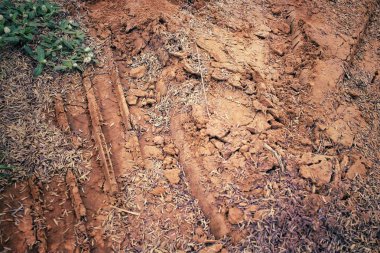 Topraktaki tekerlek izleri