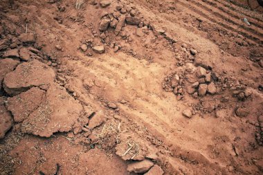 Topraktaki tekerlek izleri