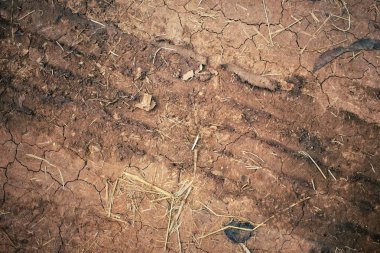 Topraktaki tekerlek izleri