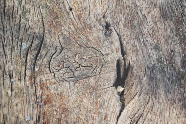 ahşap arka plan yakın çekim