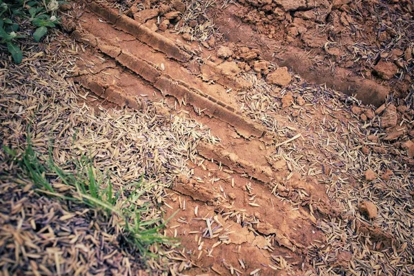 Ślady kół na glebie — Zdjęcie stockowe