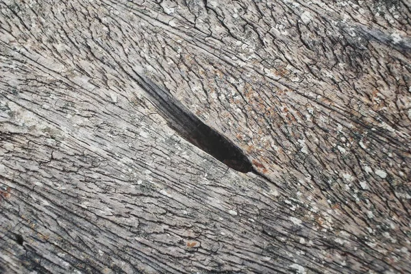 Close up of wood background — Stock Photo, Image