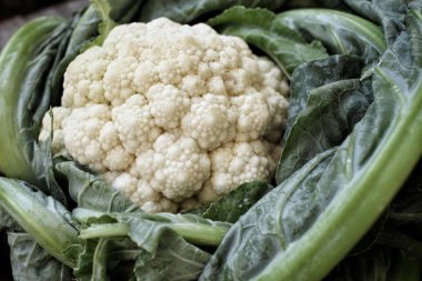 Beyaz karnabahar yakın çekim 