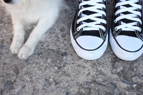 Selfie von Hundefuß mit Turnschuhen — Stockfoto