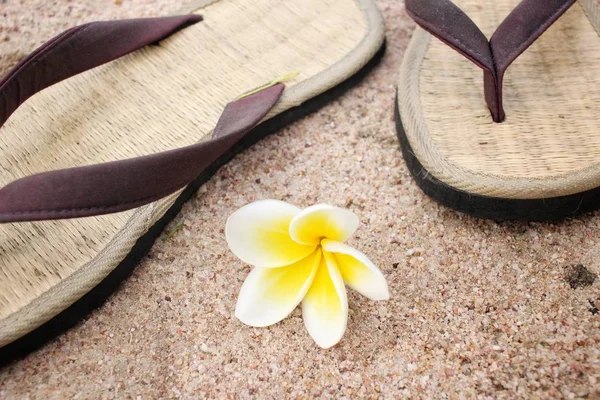 Flip-flops på stranden — Stockfoto