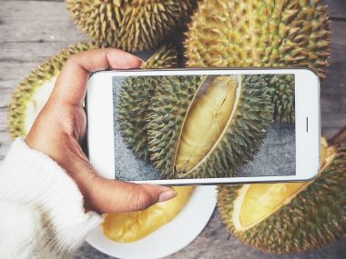 Durian ahşap arka plan üzerinde yakın çekim