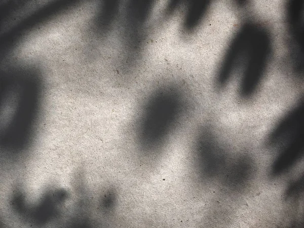 Sombra de hojas — Foto de Stock