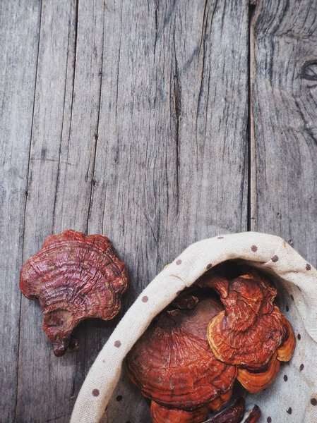 Одерма Люцидум - Лин Чжи Мушрум
.