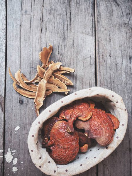 Ganoderma Lucidum - Ling Zhi Mushroom.