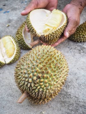 Durian meyvelerini yakın çekim