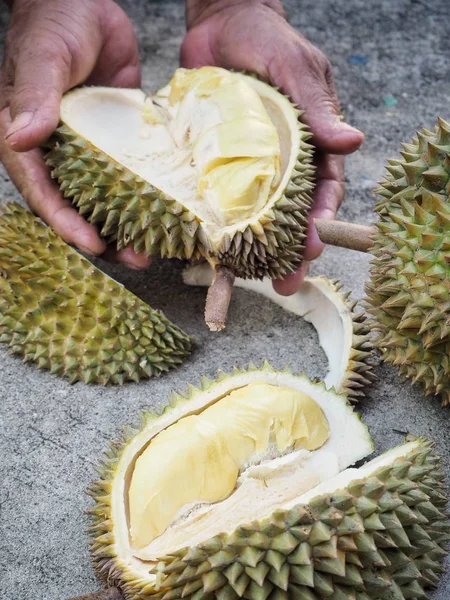 Menutup buah durian — Stok Foto